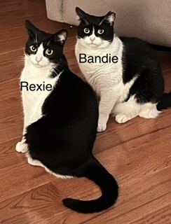 Rexie & Bandie