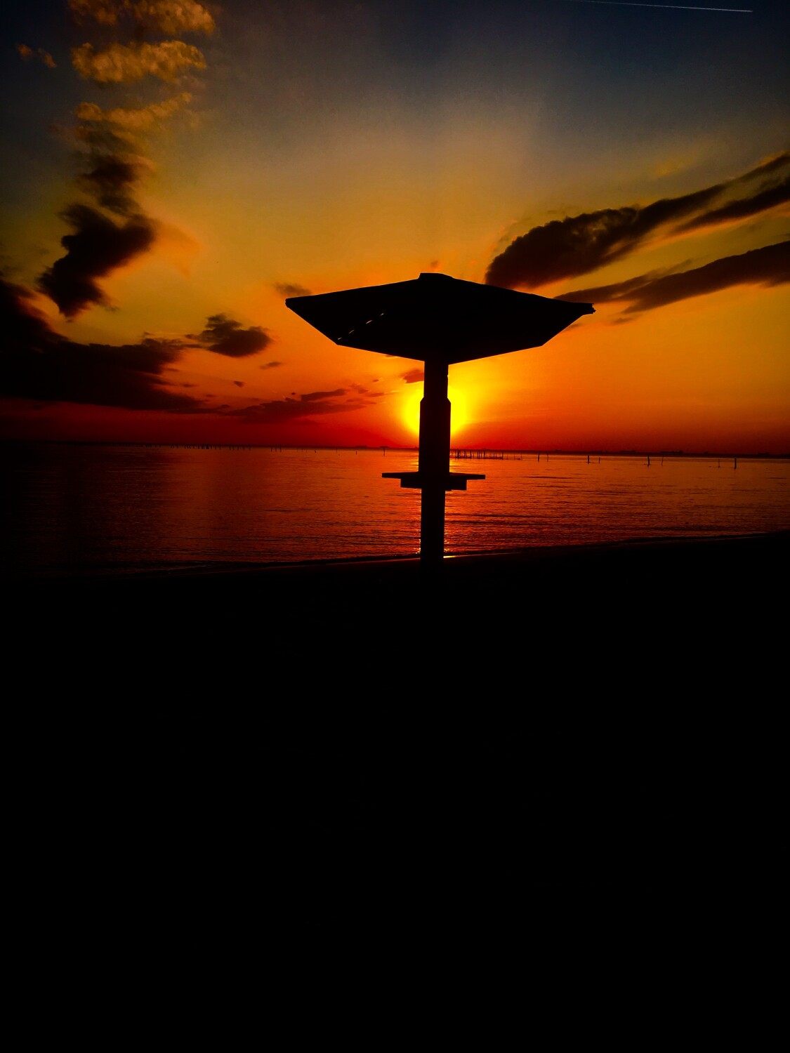 umbrella in Paradise