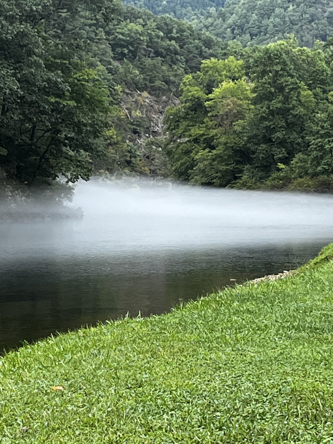 fog on the lake