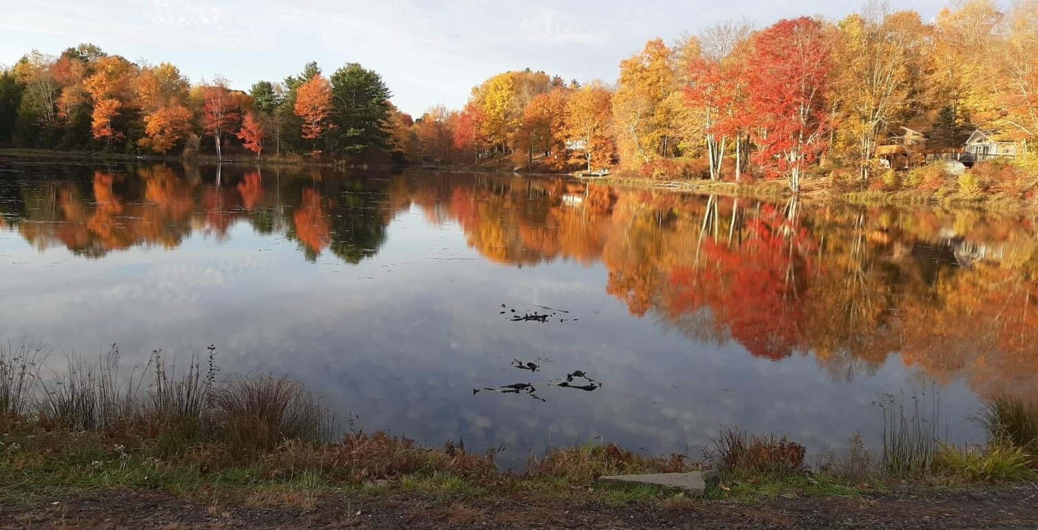 Autumn monticello NY