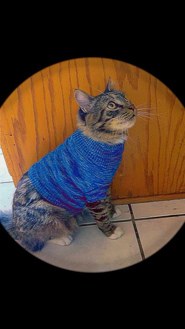 “Observing Space”