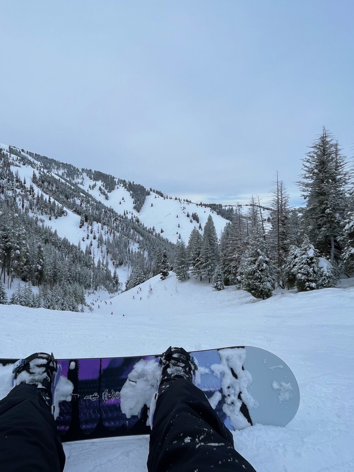 snowboarding on top of hill