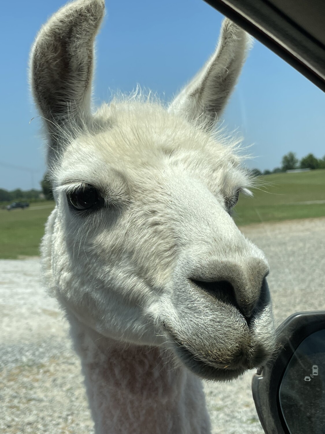 Smile, I’m watching you!