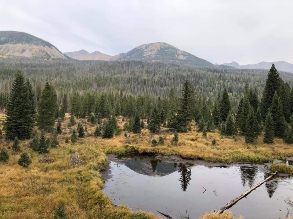 Serenity of the up and down