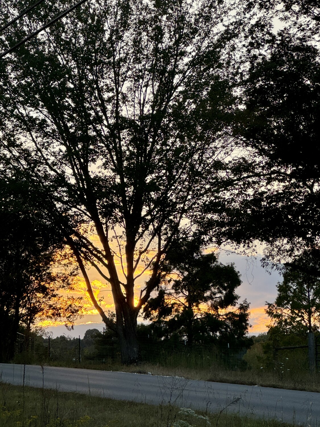 Micheal’s kiss 😘