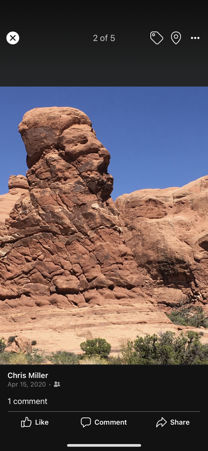 The lion sleeps tonight