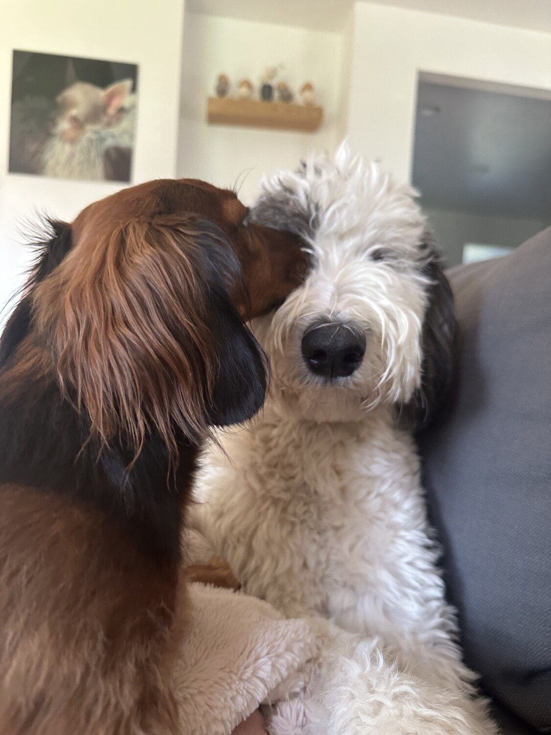 The loves of my life