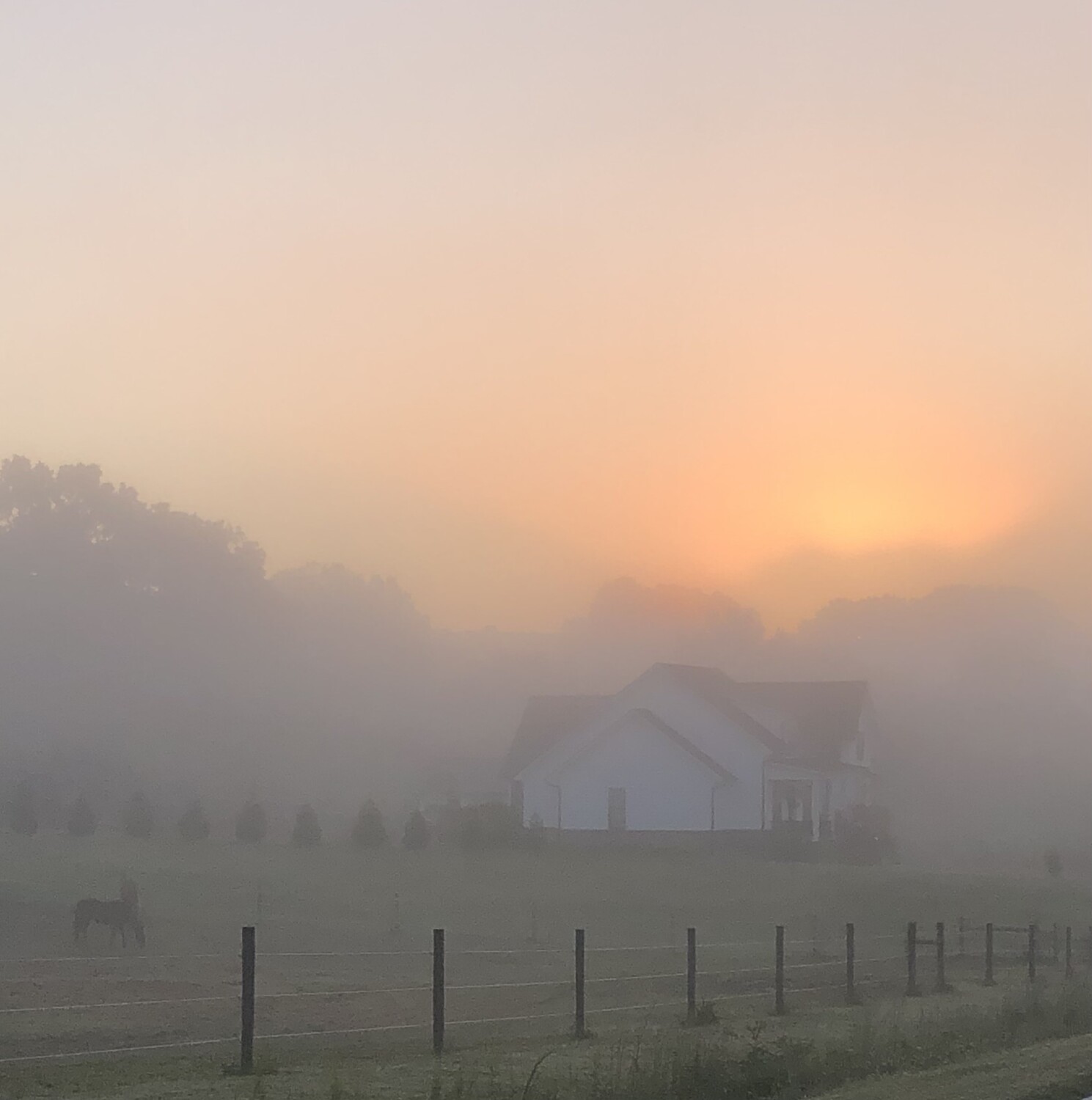 Sunrise in the Mist