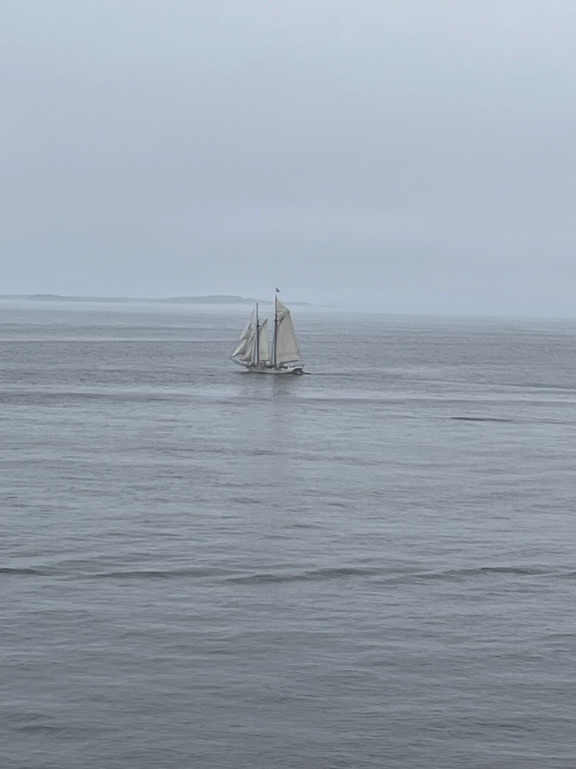 Maine Fog Sail