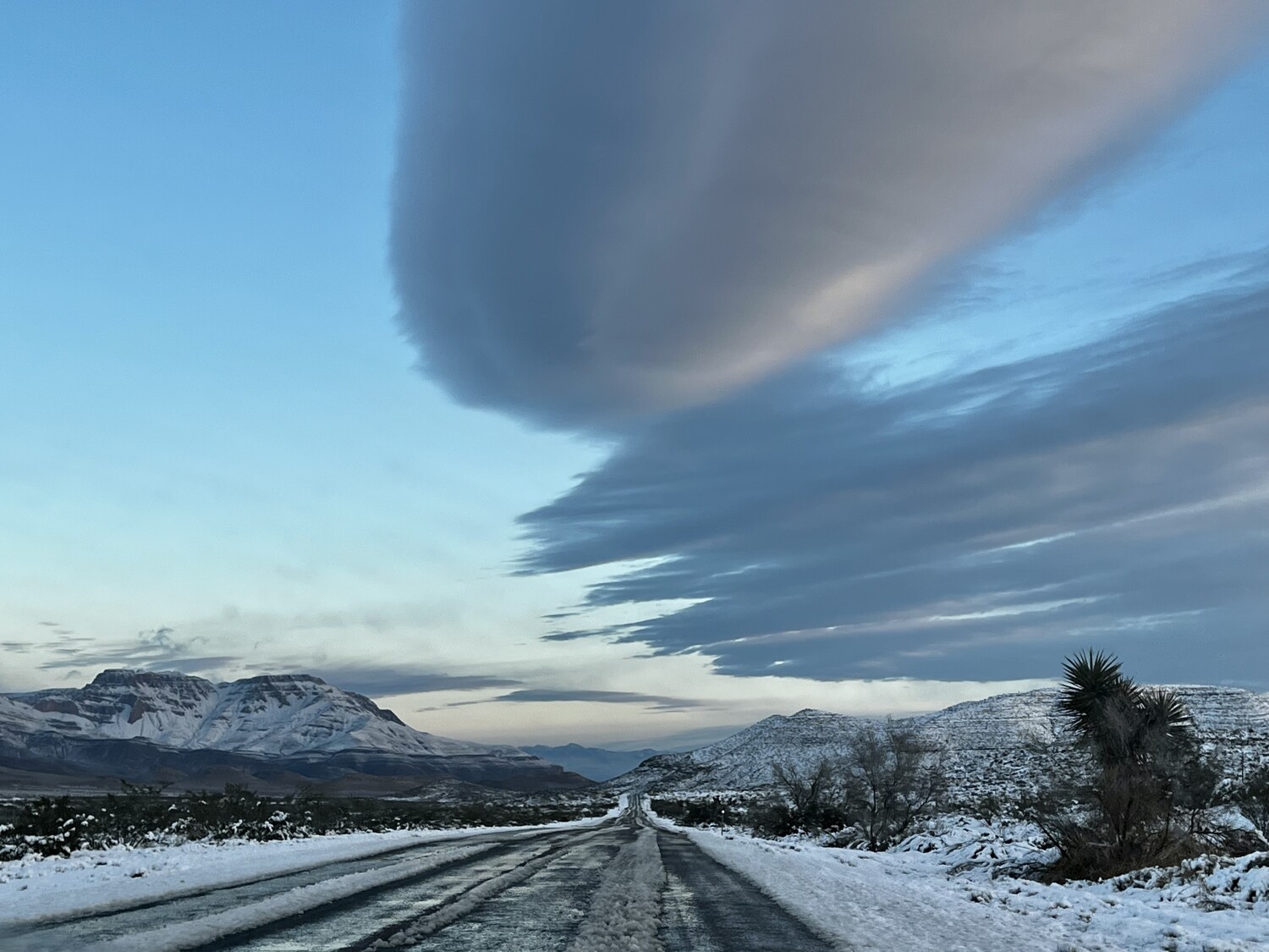 The aftermath of thanksgiving snowstorm