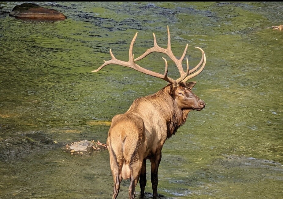 Yeah....they're real.