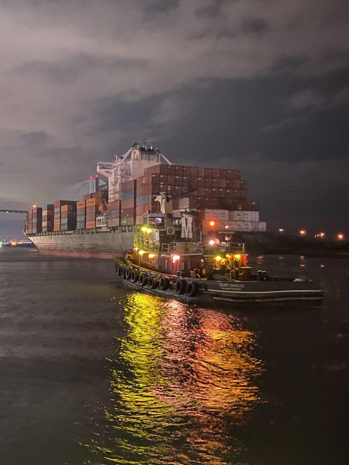 Beautiful Savannah night