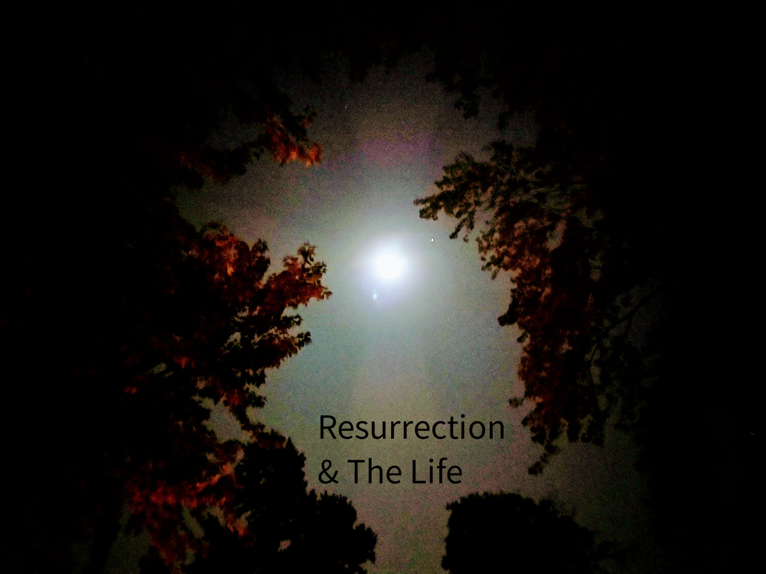 Resurrection &The Life