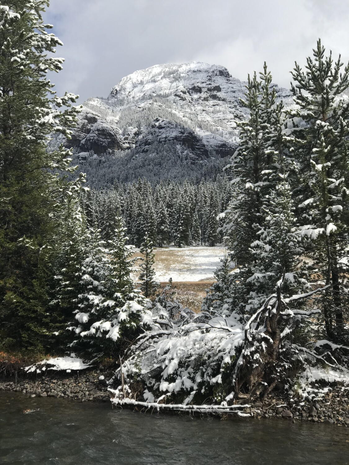 Yellowstone in October