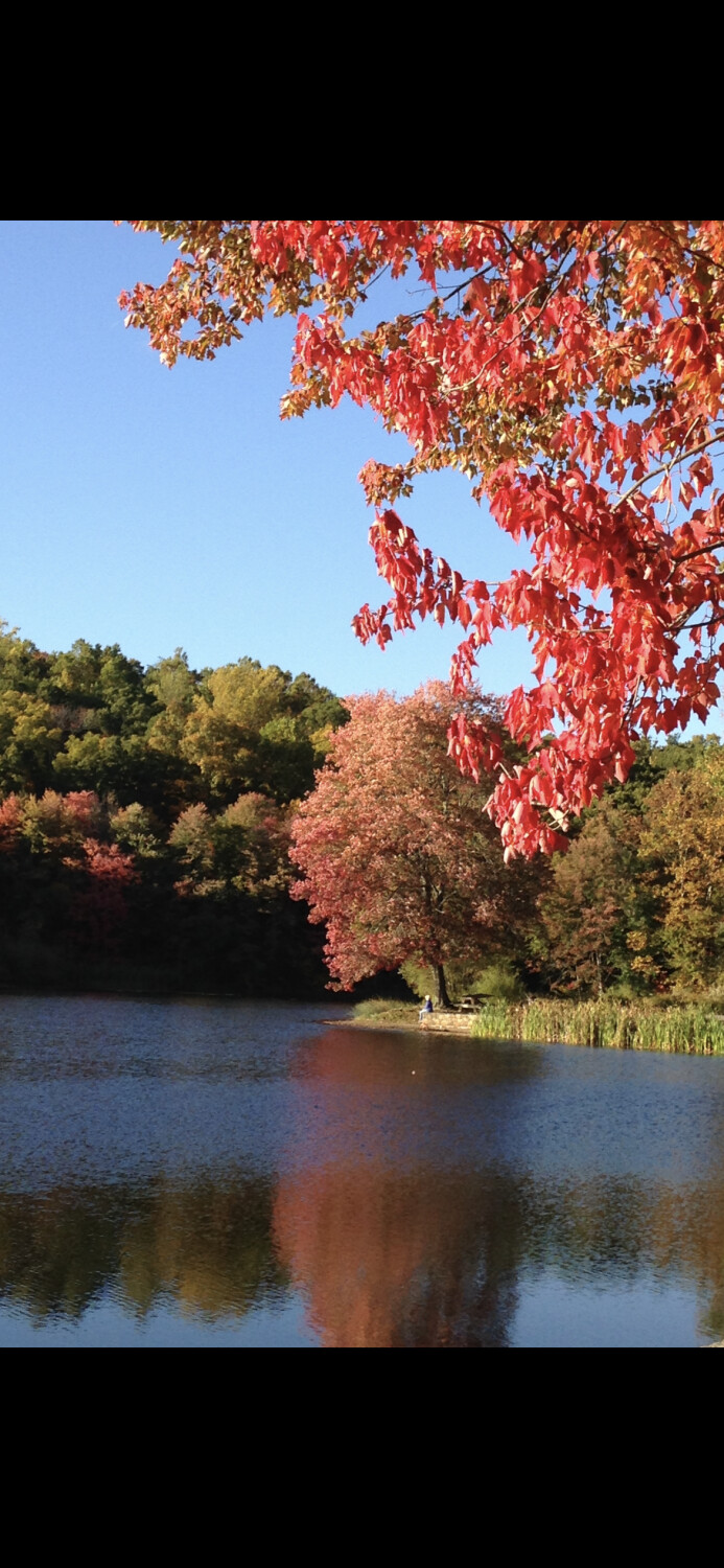 Autumn in New England