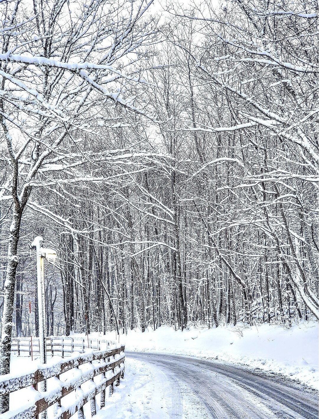 Winter Road