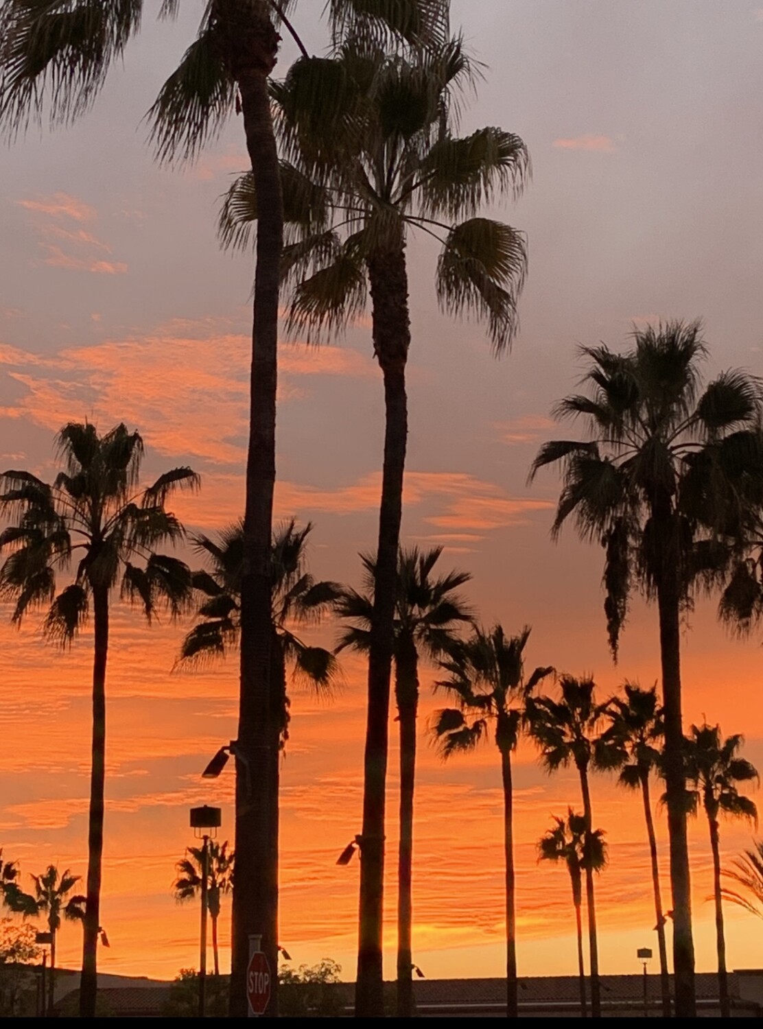 California 🌅 Sunset