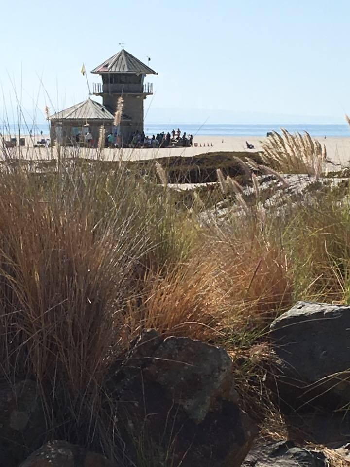 Serenity at the Beach