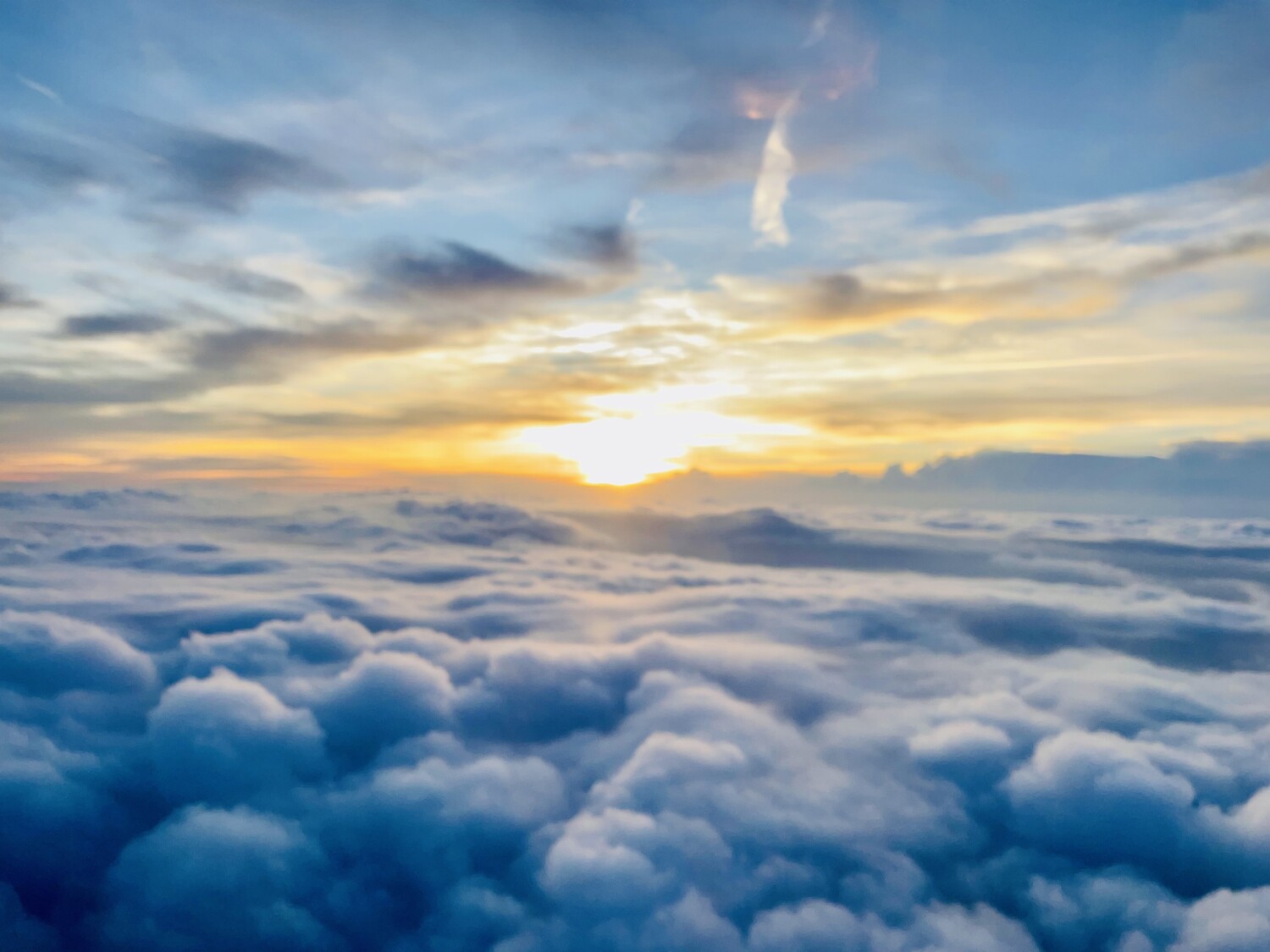 Flying high