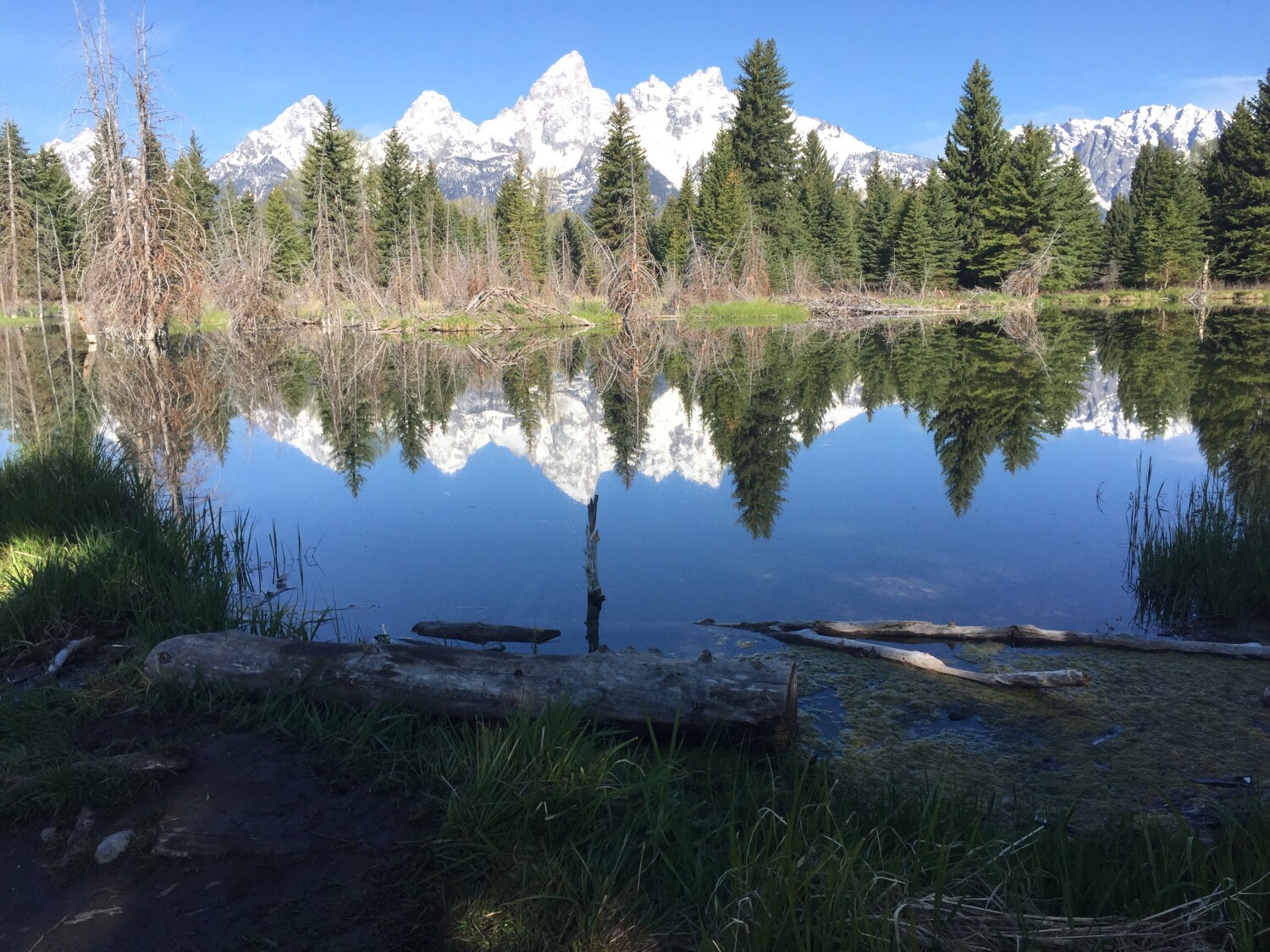 Grand Teton National Park