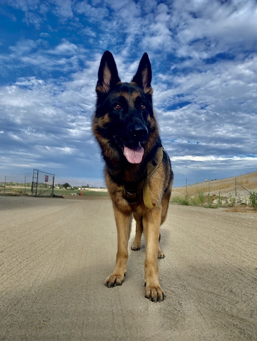 The Dirt Road Freedom