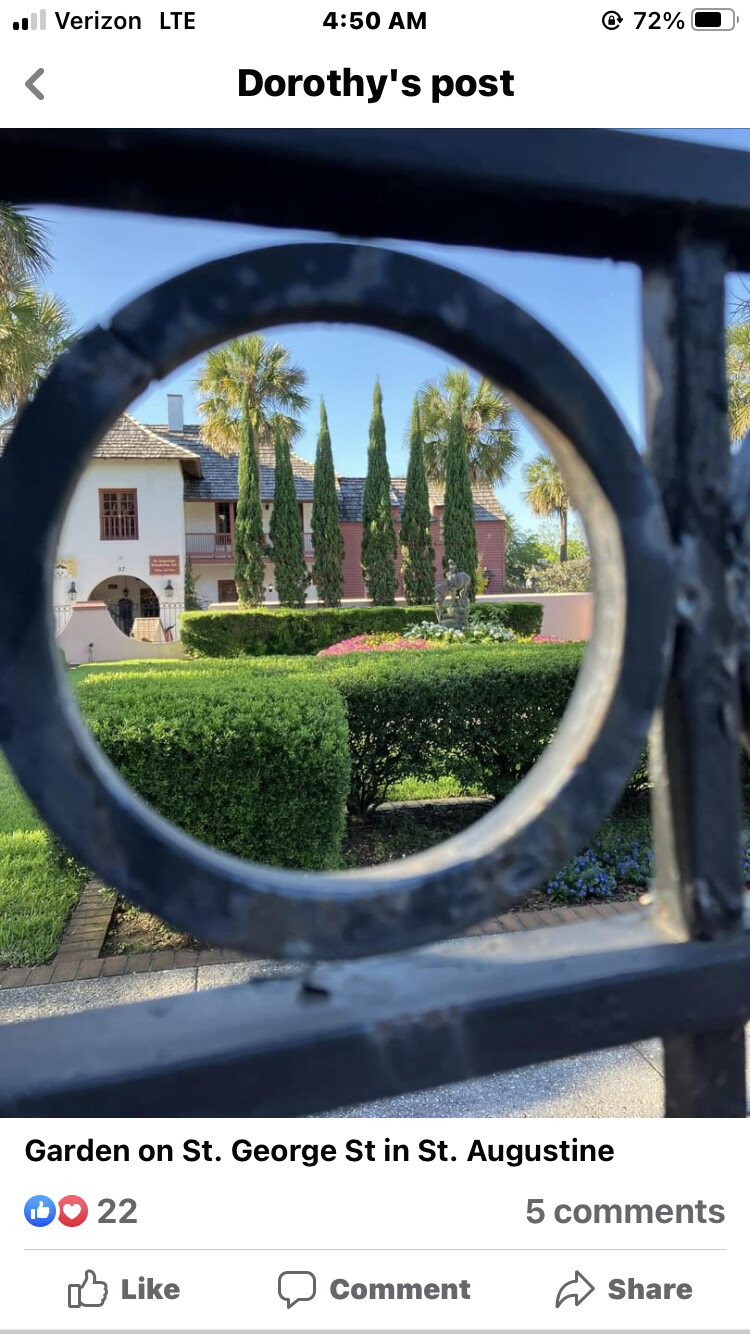 Looking Through the gate