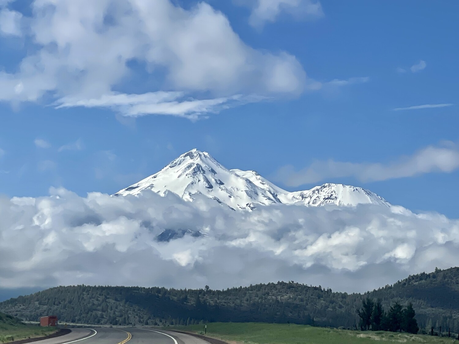 Mt. Shasta