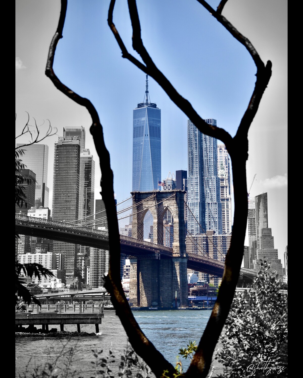 Look Between the Lines