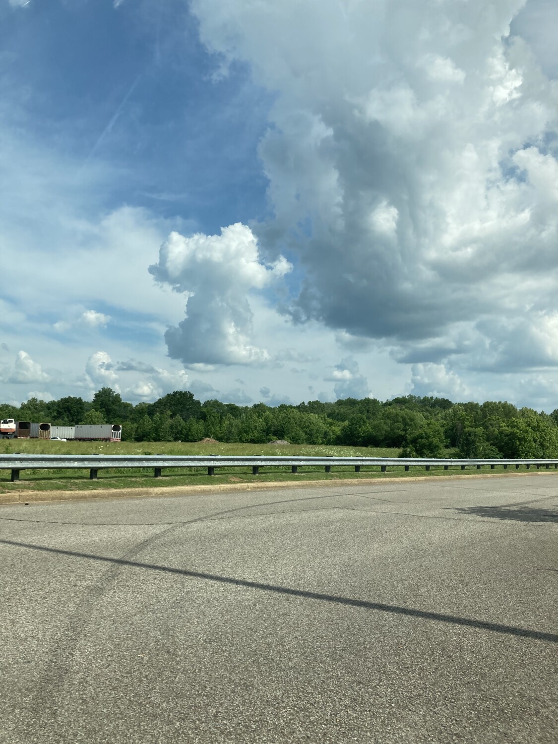 As the Elephant Dreams