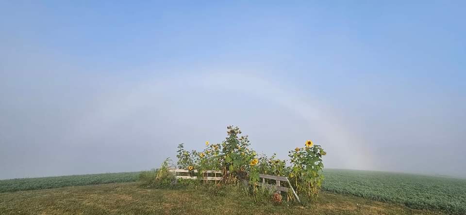 Fogbow