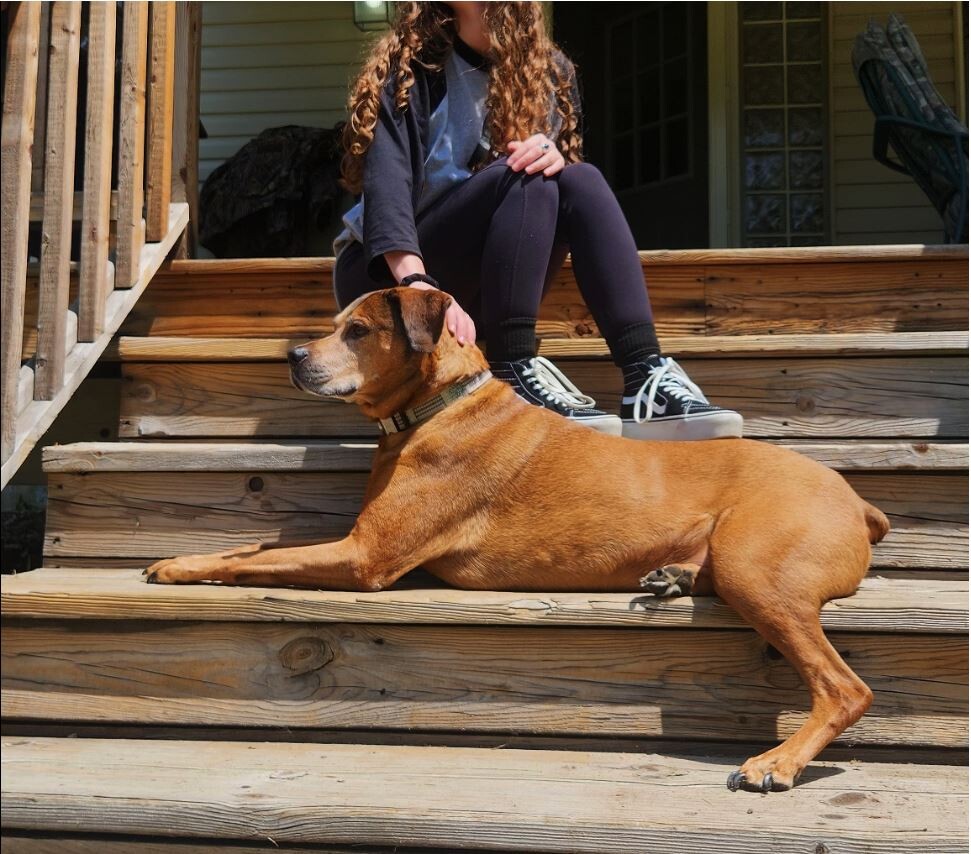 Just a Mutt