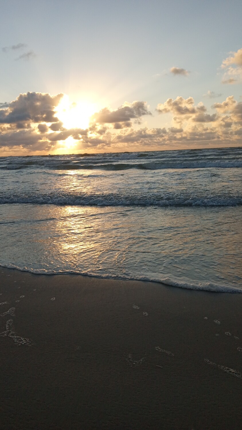 Morning on the beach