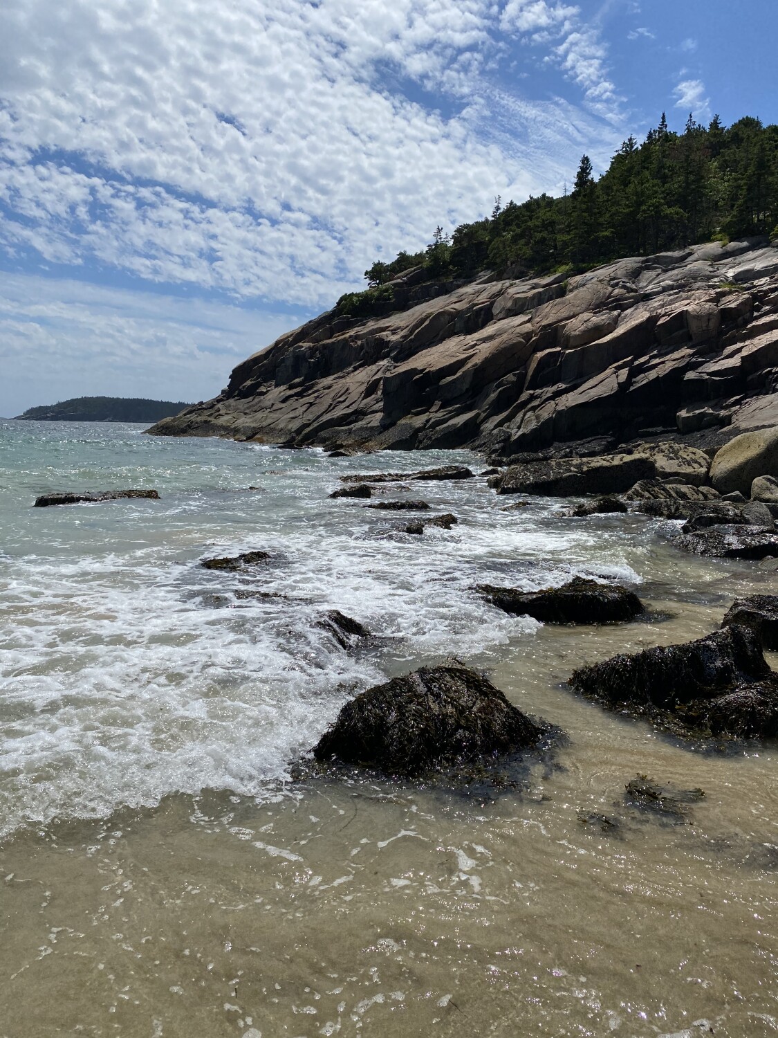 Beautiful Acadia!