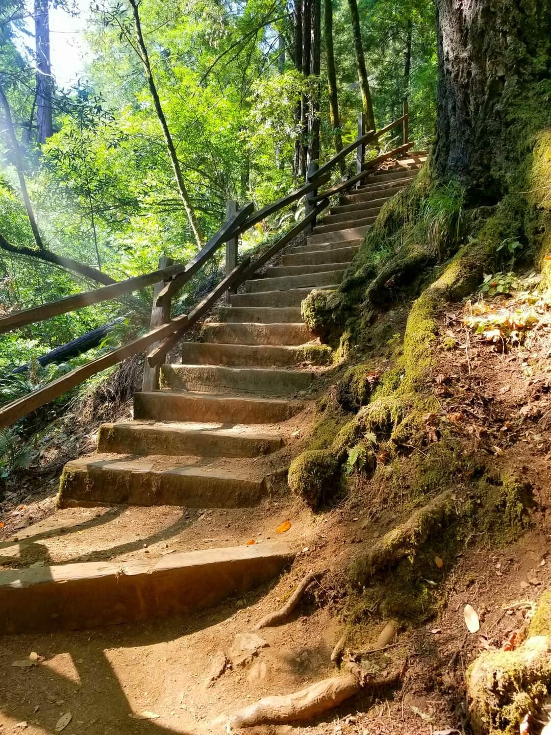 Cataract Falls Trail