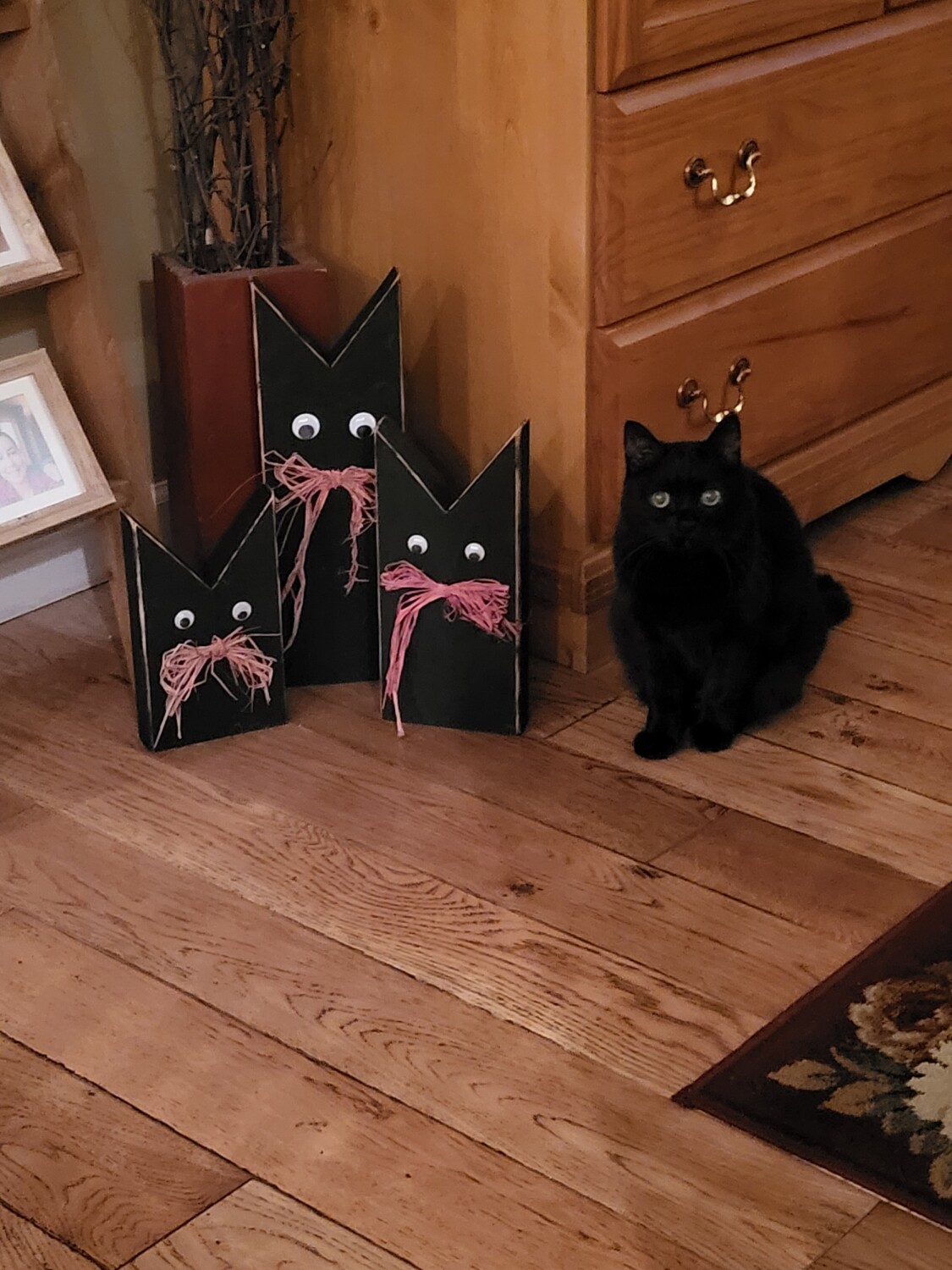 Find me mom...Trick or Treat