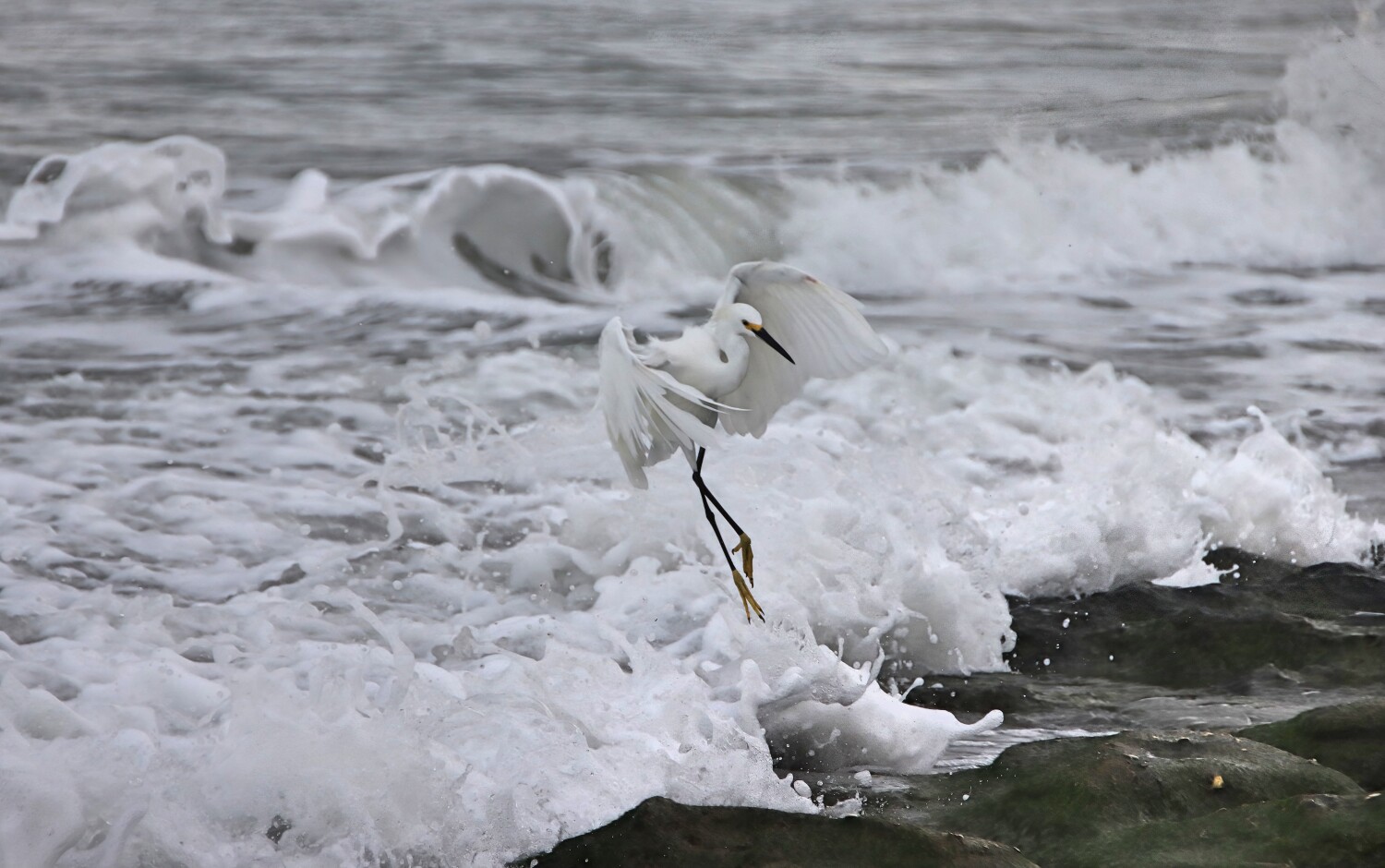 Dancing with the Waves