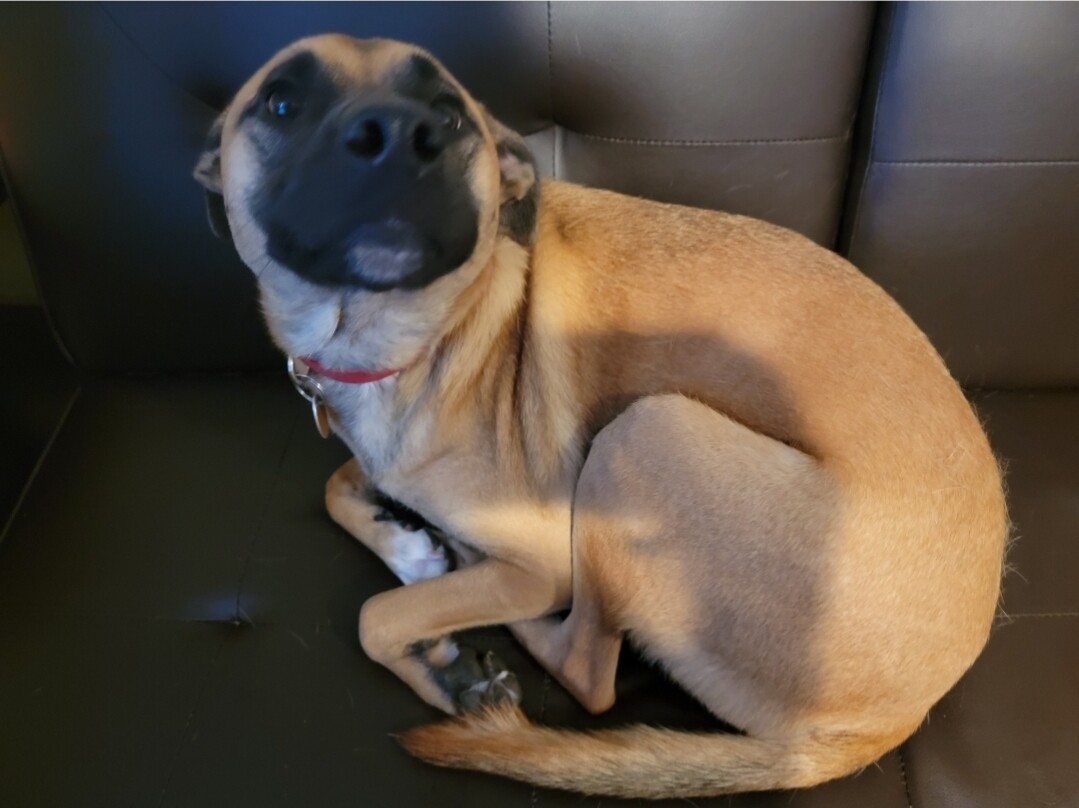 Kasey Jane, our quality control expert!