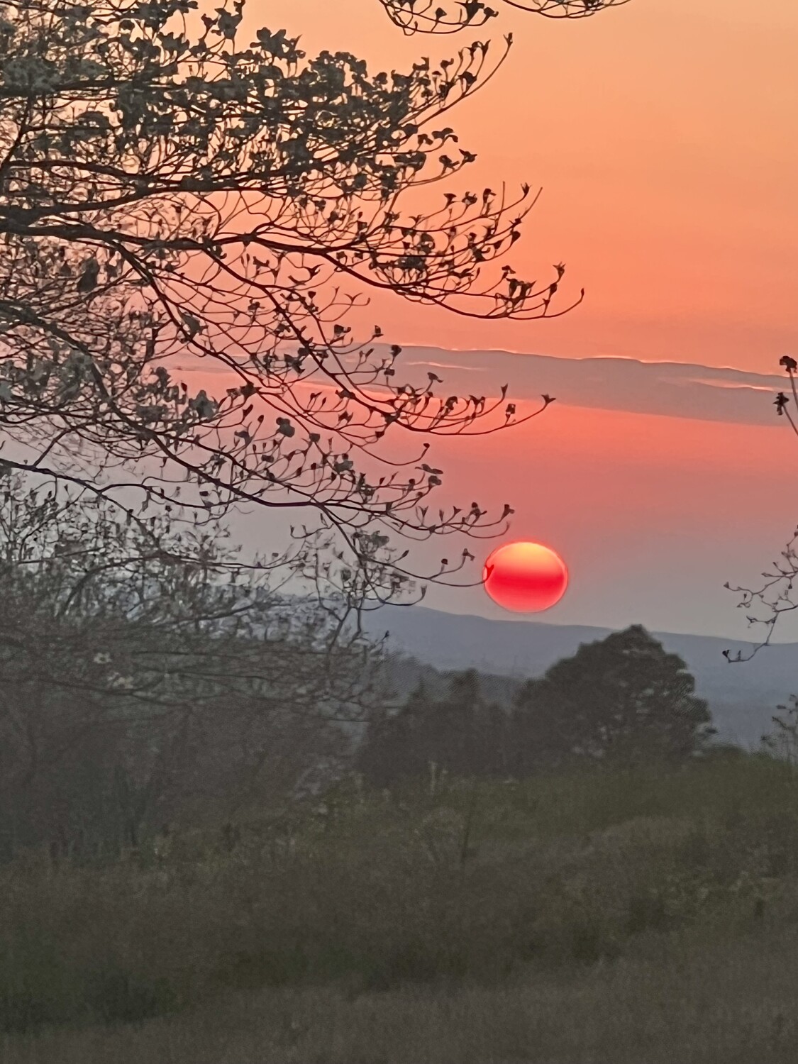 Appalachian Sunset in Alabama