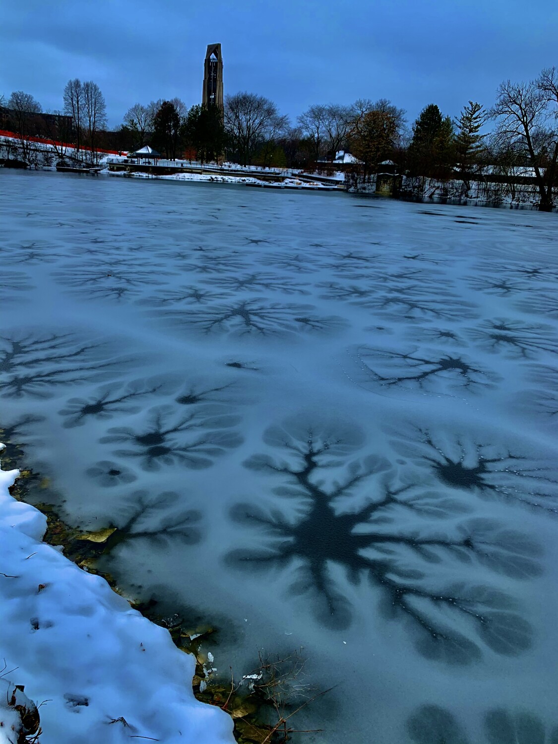 Frozen snowflakes in lake