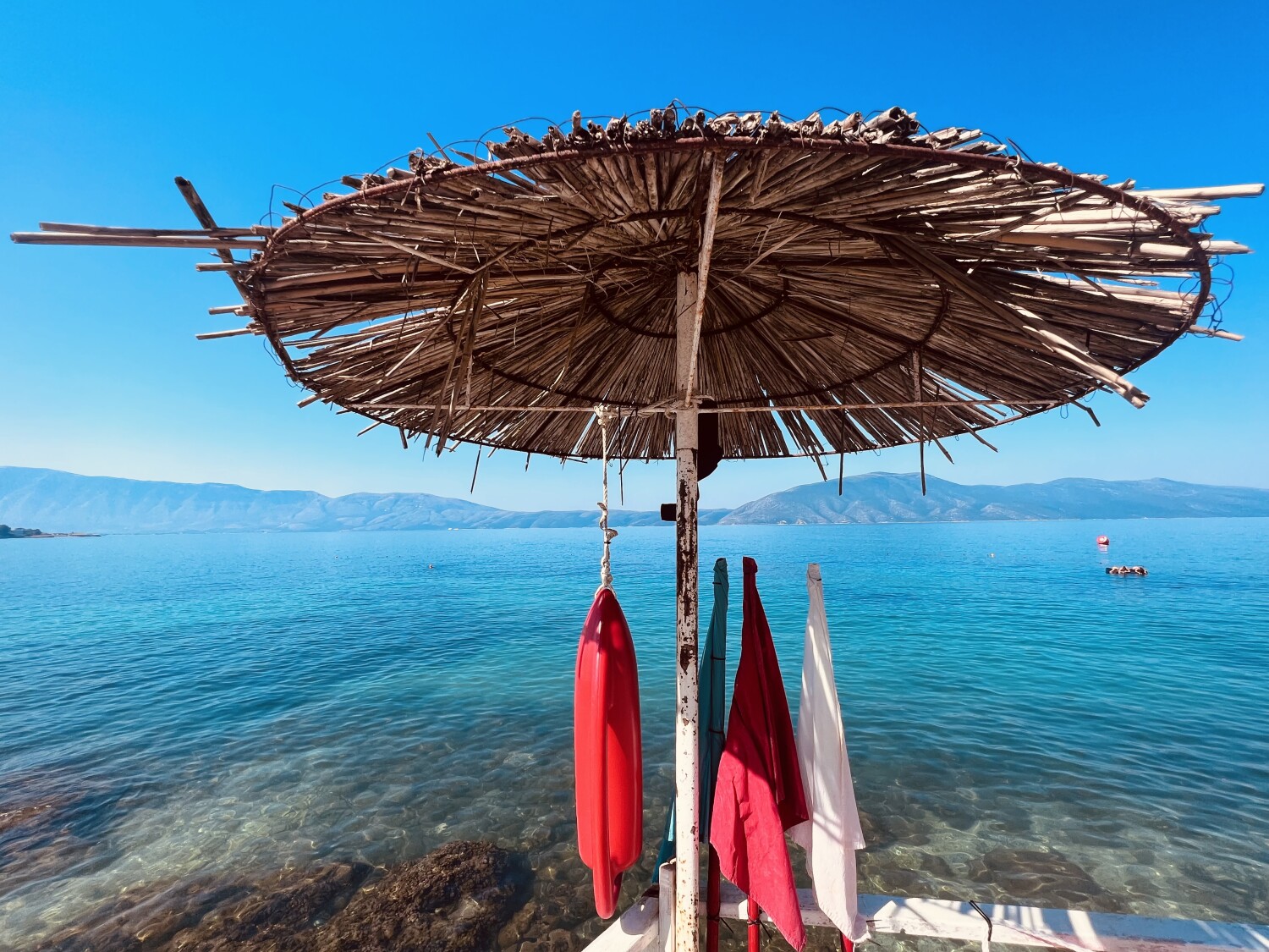 Colors of the summer