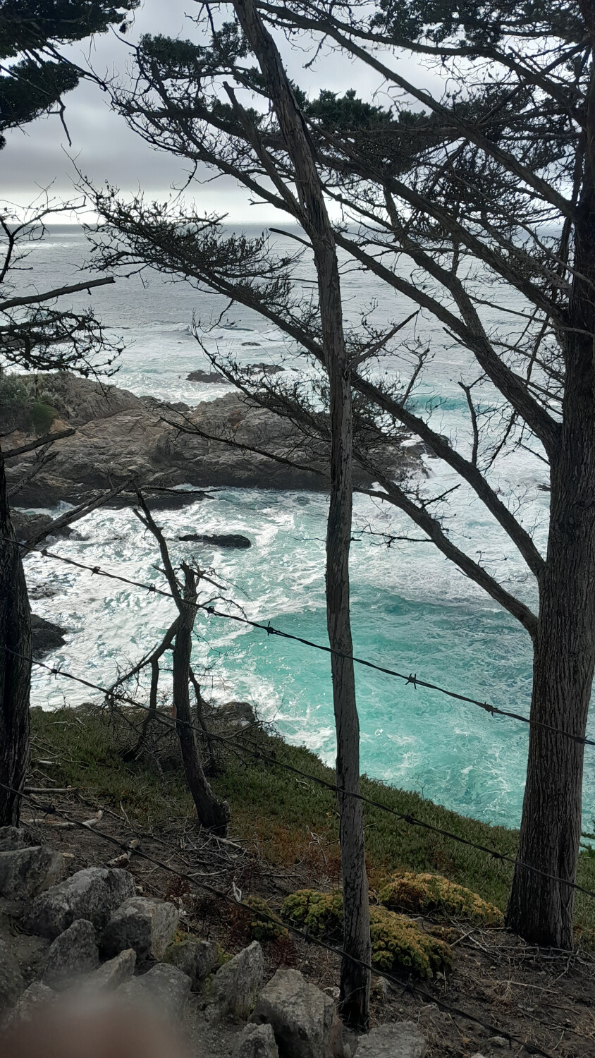 Carmel By the Sea