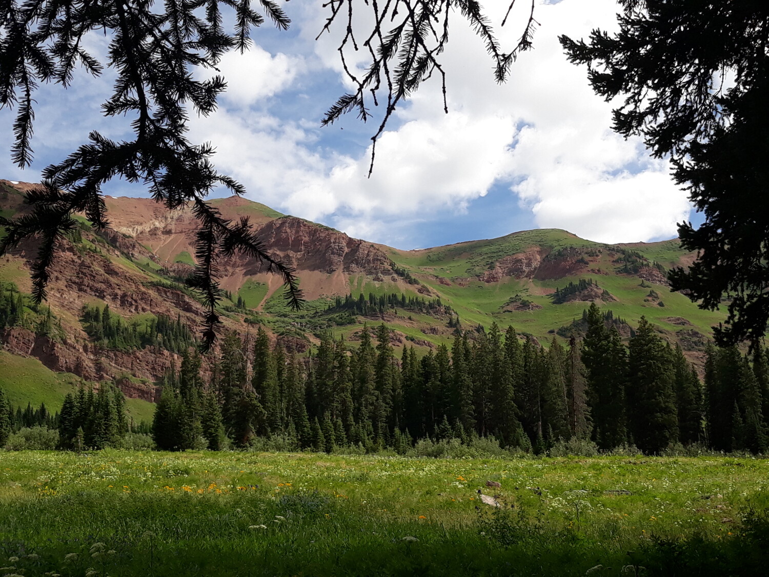 Rustlers Gultch Trail