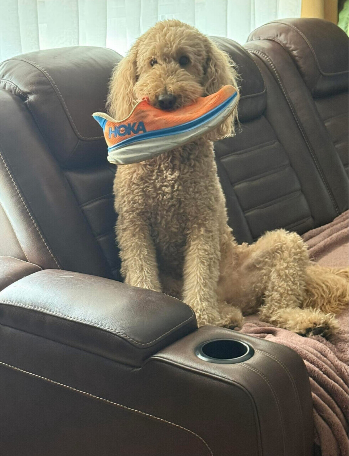 Sandy’s ready to for a walk