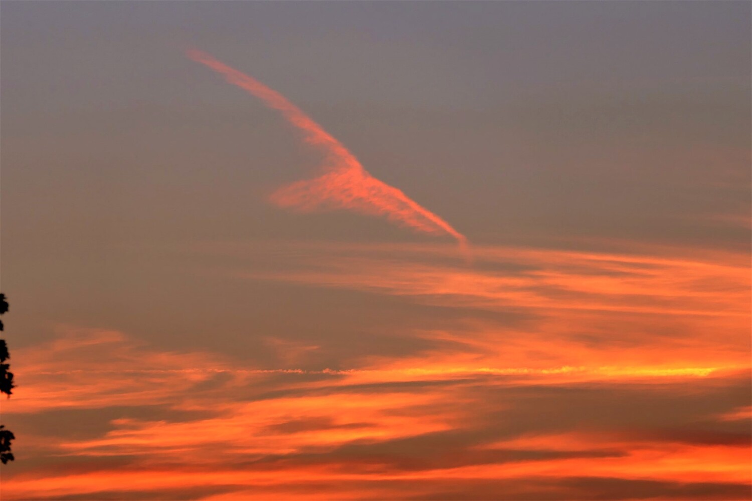 Last shot of the day.