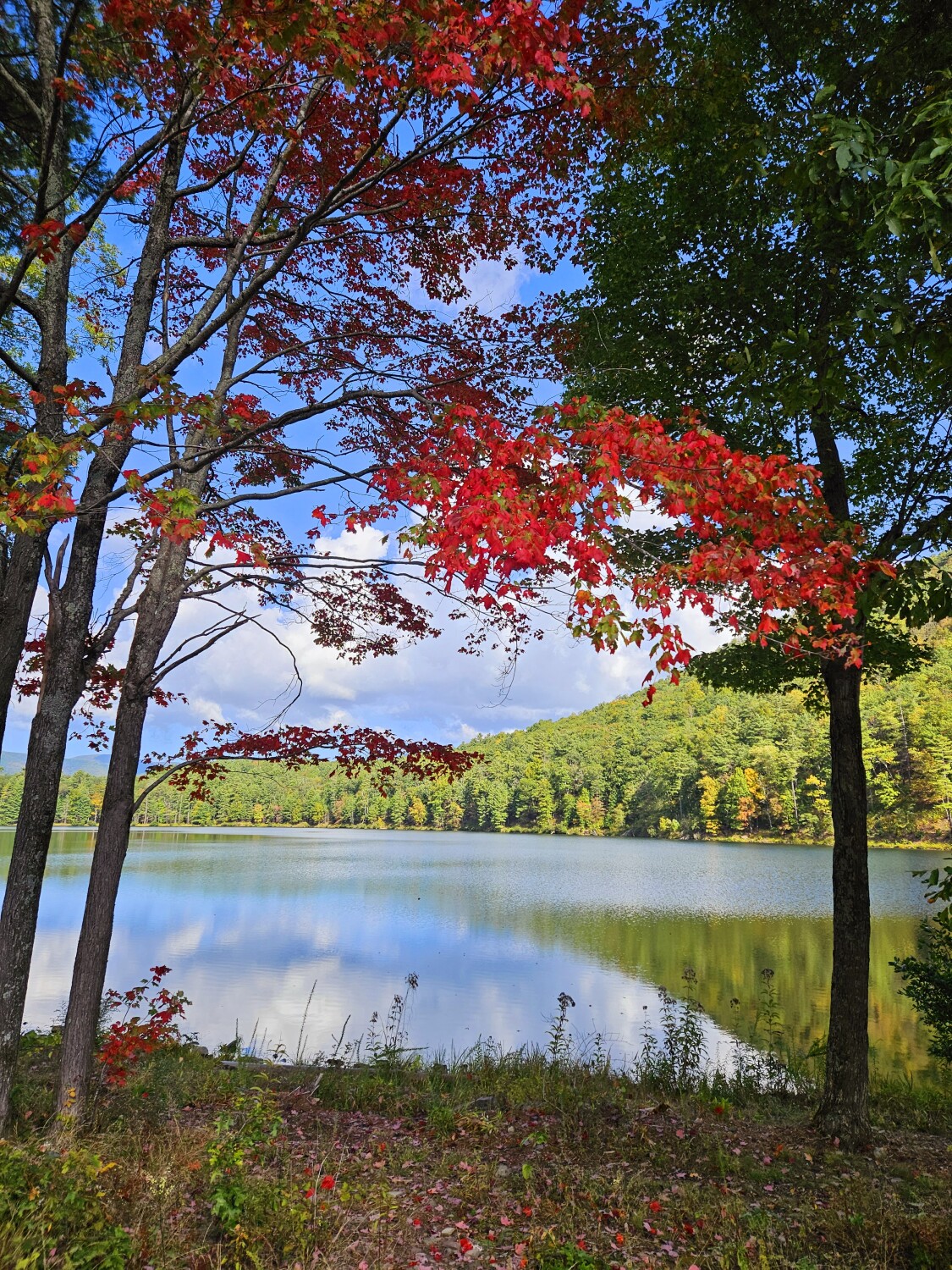 Fall in the mountains