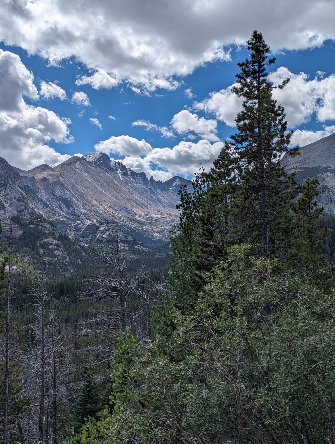 View in Rocky mountain national Park