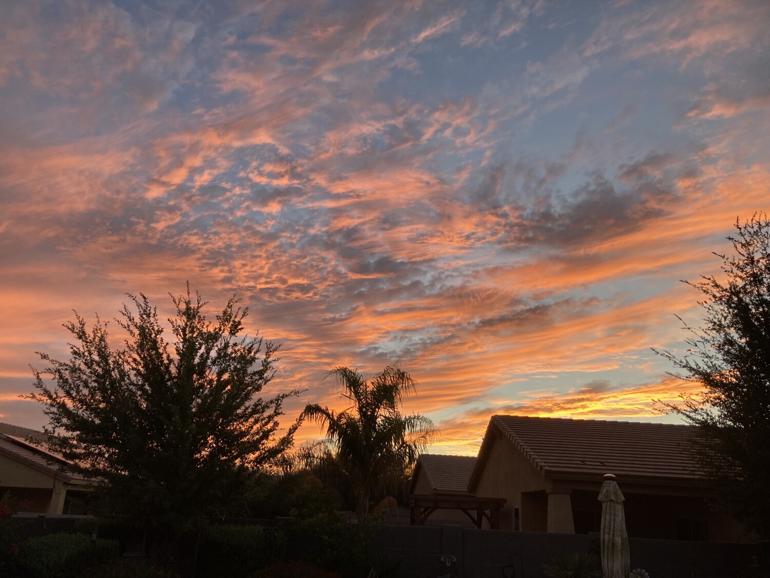 Sunset from backyard