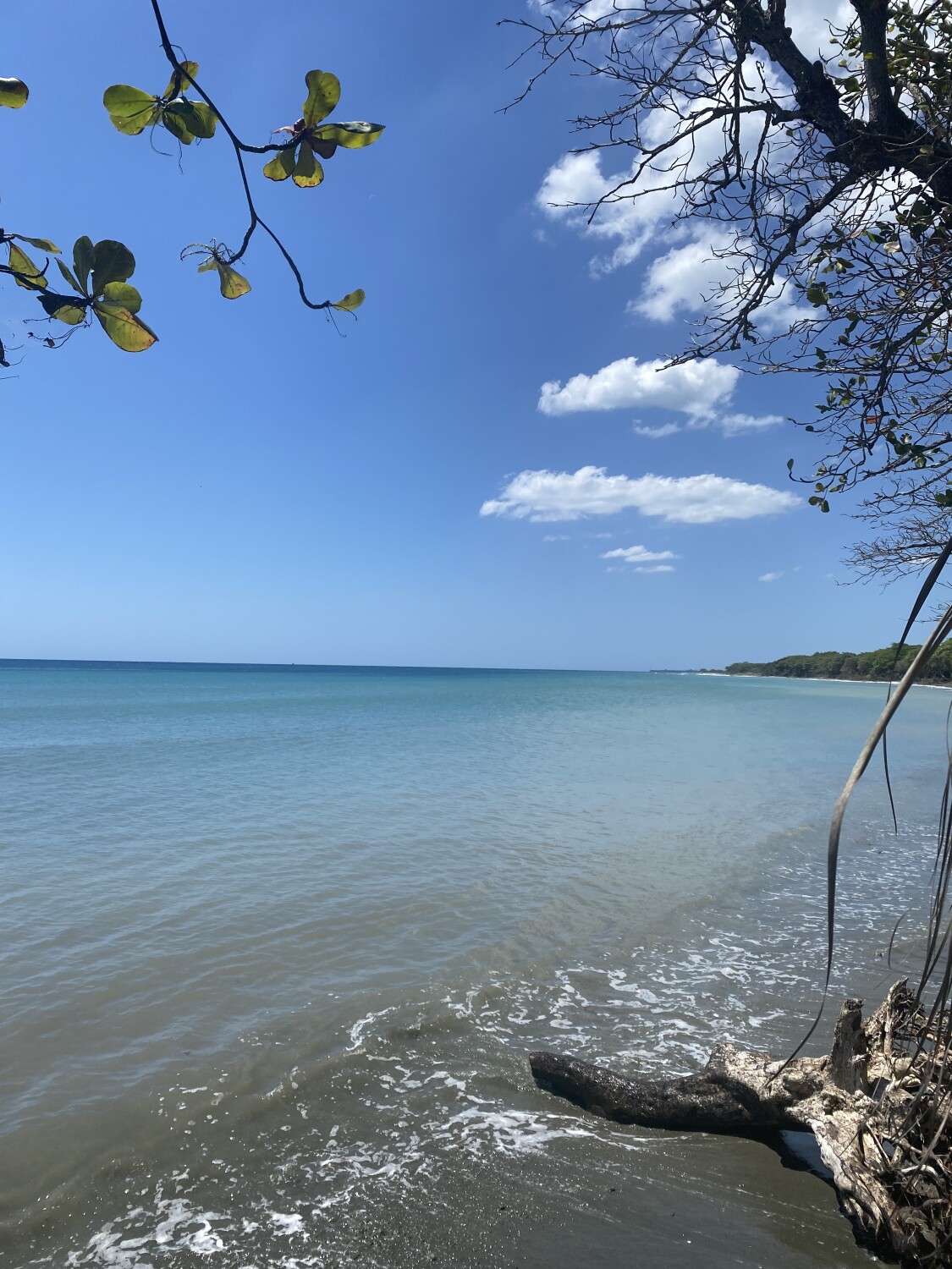 Palenque Beach