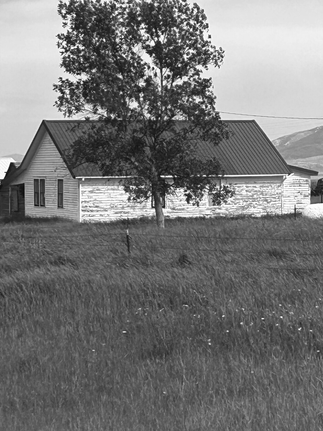 To those who lived here before us