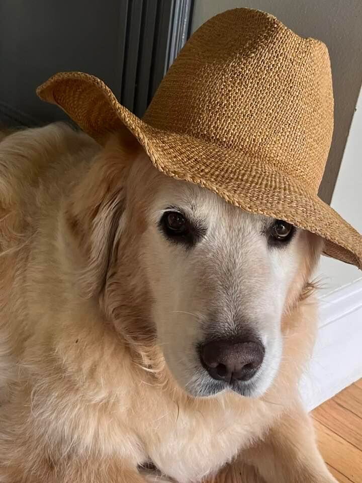 It’s 5:00 O’clock Somewhere